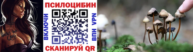 Купить  Северобайкальск  Галлюциногенные грибы Psilocybine cubensis 